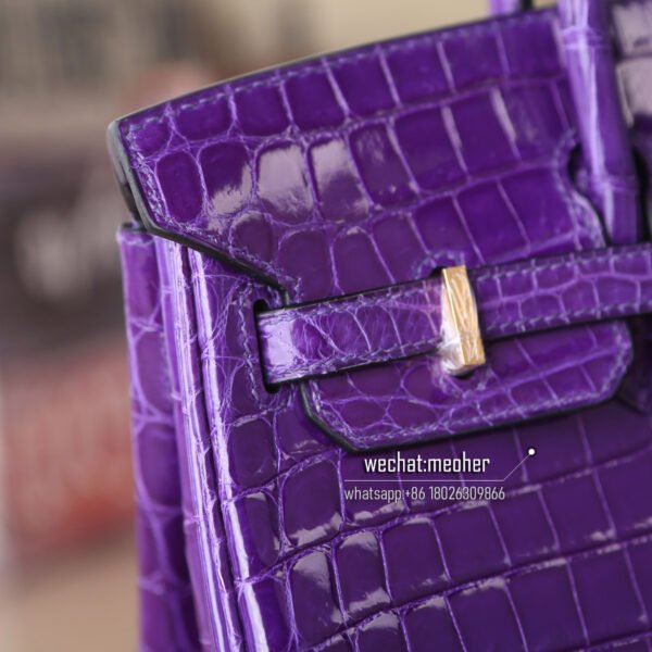 Hermes crocodile birkin 25cm violet - Image 4