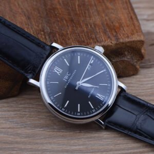 IWC watch schaffhausen